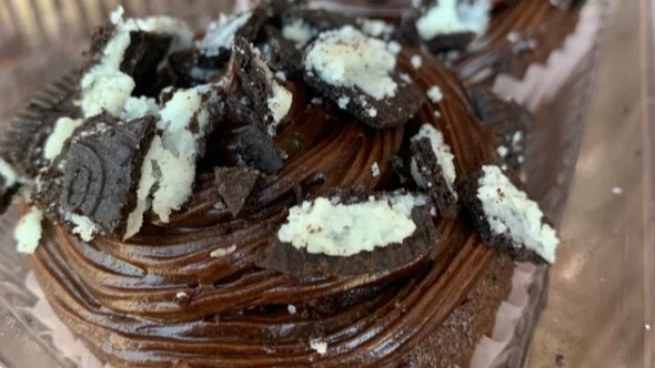 Web capture_17-9-2022_221838_www.dankdaiquirisllc.com